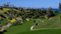 ShorecliffsGolfClub1.jpg
